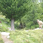Bergruh Apartamento