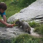 Apartamento Bergruh *