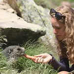 アパート Bergruh