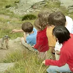 Bergruh アパート *