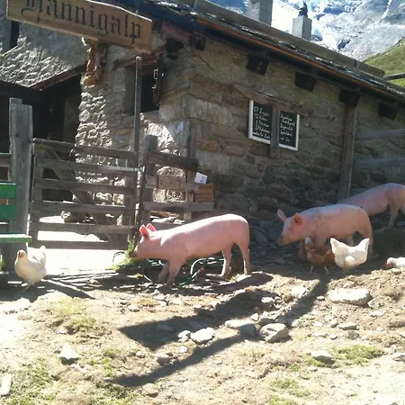 Apartment Bergruh Saas-Fee
