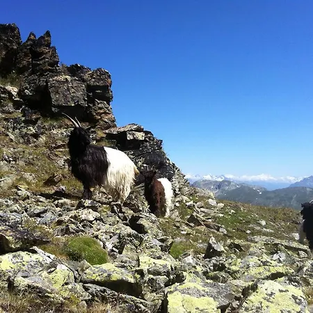 Bergruh * Saas Fee
