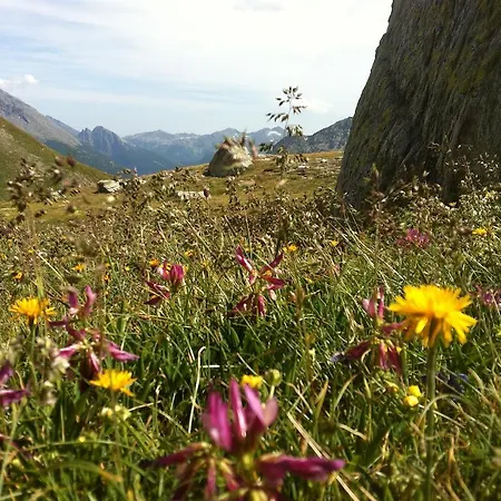 Bergruh Apartament *