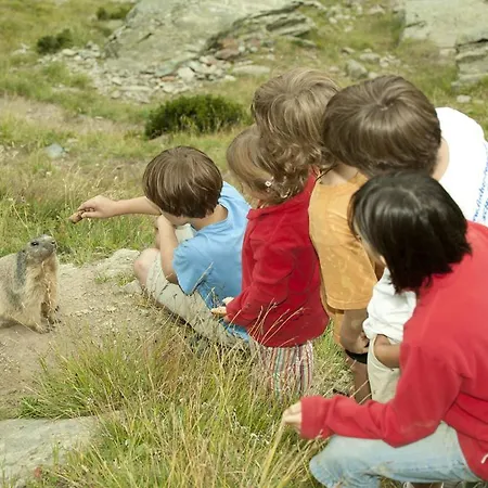 Bergruh Apartament *