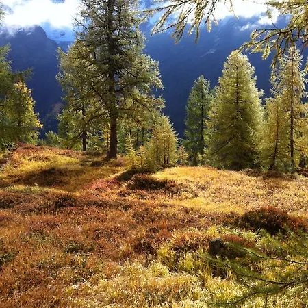 Bergruh Apartment Saas-Fee