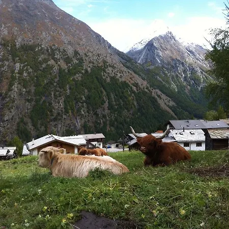 Bergruh Apartament *