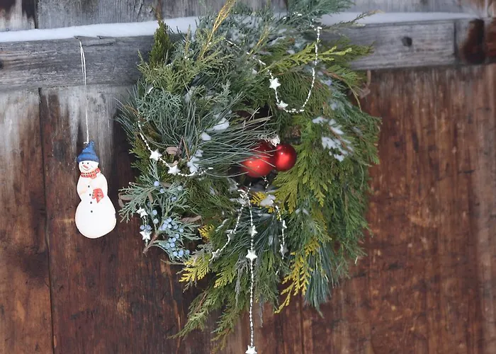 Apartman Bergruh Saas Fee