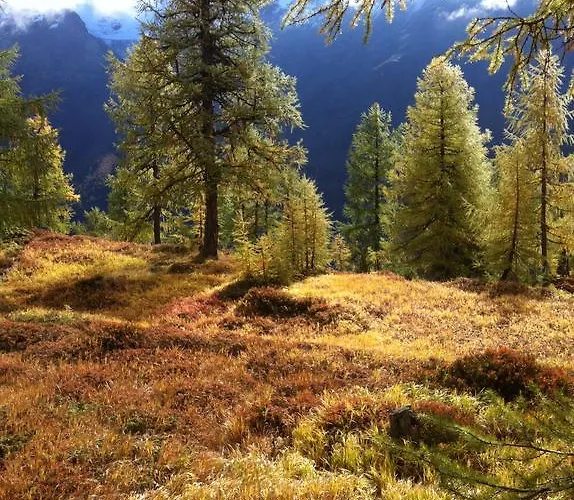 Bergruh Apartman Saas Fee