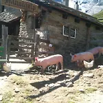Apartment Bergruh Saas-Fee
