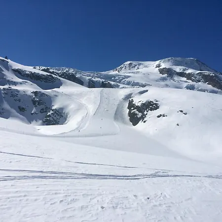 Bergruh Apartment Saas-Fee